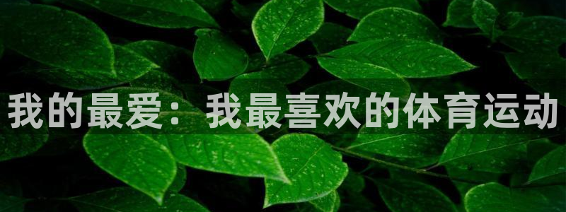 vsport体育官网下载招商电话号码查询：我的最爱：