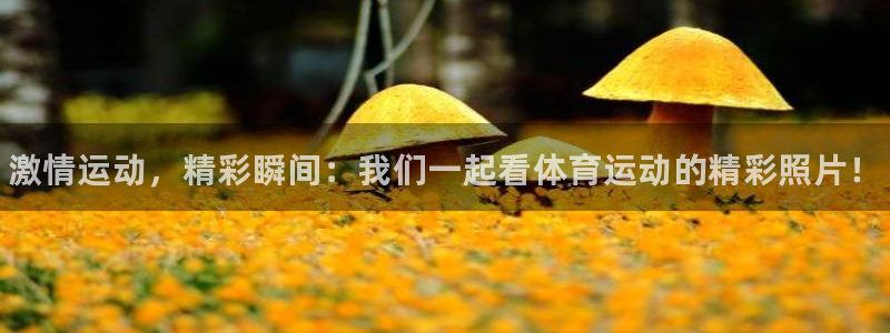 vsport体育官网下载平台是正规平台吗知乎：激情运