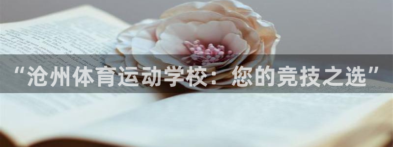 vsport体育官方正版app娱乐平台