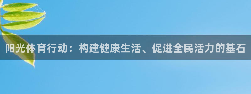 vsport体育官方正版app娱乐：阳光体育行动：构
