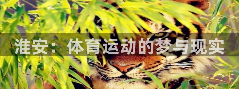 vsport体育官方集团官网：淮安：体育运动的梦与现