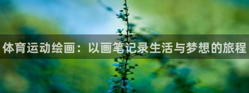 vsport体育官网下载平台假的吗是真的吗：体育运动绘画：以