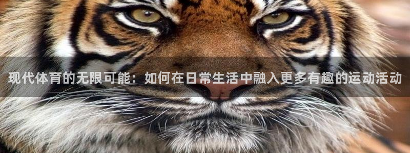 vsport体育官网下载平台注册要钱吗：现代体育的无限可能：
