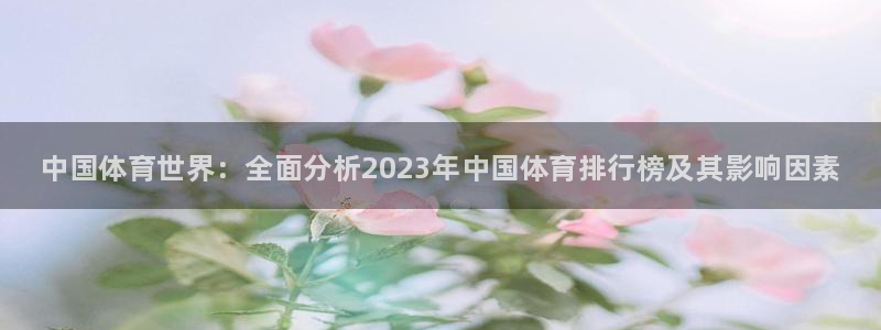vsport体育官网下载平台APP：中国体育世界：全面分析2