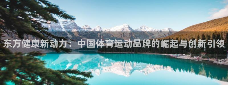 vsport体育官网下载招商电话：东方健康新动力：中国体育运