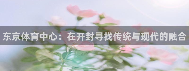 vsport体育官网下载：东京体育中心：在开封寻找传