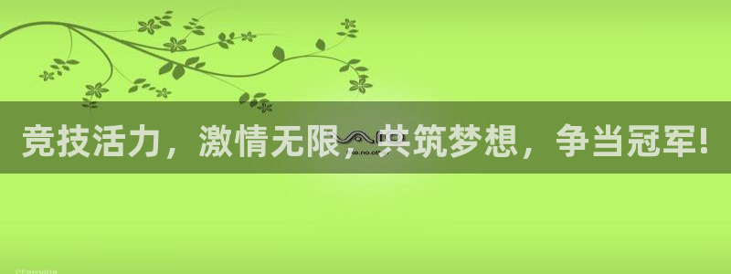 vsport体育官方集团官网：竞技活力，激情无限，共筑梦想，