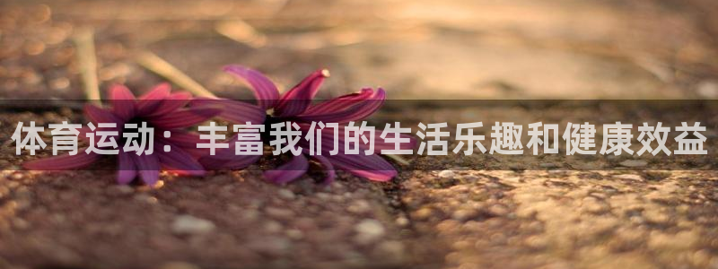 vsport体育官方正版app娱乐40996：体育运