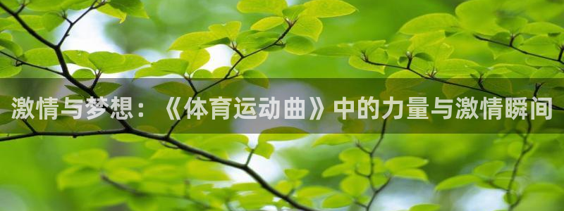 vsport体育官网下载平台APP：激情与梦想：《体