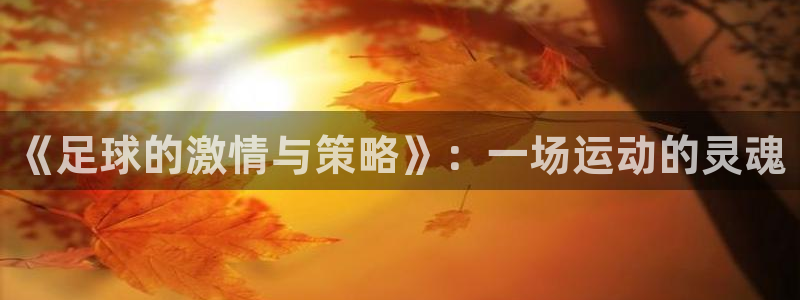 vsport体育官方正版app五金厂：《足球的激情与