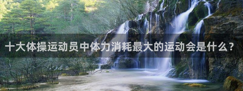 vsport体育官方正版app集团官网首页
