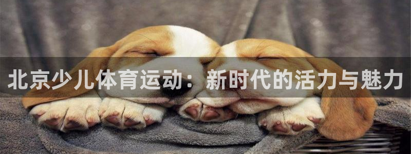 vsport体育官方正版app娱乐首页网站大全：北京