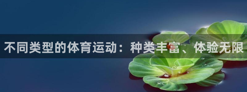 vsport体育官方正版app代理：不同类型的体育运