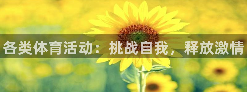 vsport体育官方正版app代理：各类体育活动：挑战自我，