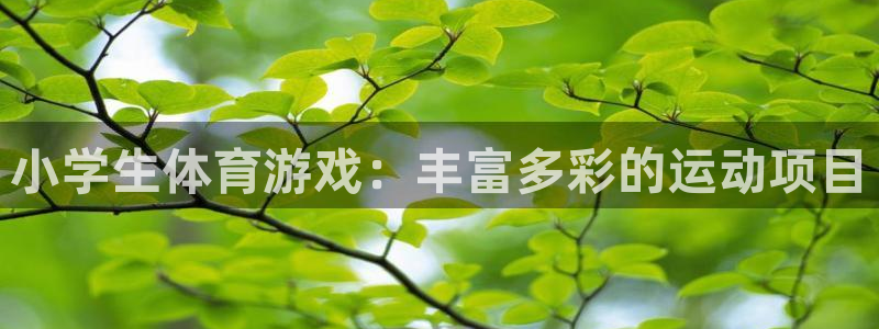 vsport体育官方正版app集团logo：小学生体