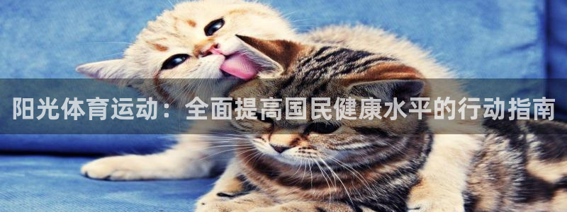 vsport体育官网下载平台注册要钱吗：阳光体育运动：全面提