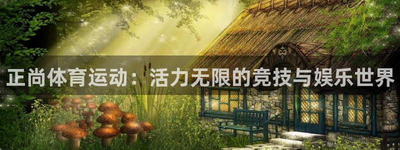 vsport体育官方正版app集团：正尚体育运动：活力无限的