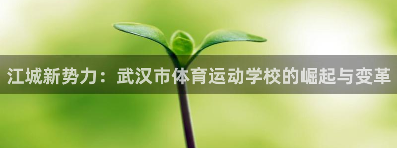 vsport体育官方正版app集团：江城新势力：武汉
