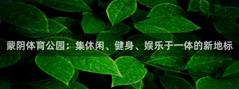 vsport体育官网下载招商电话是多少啊：蒙阴体育公园：集休