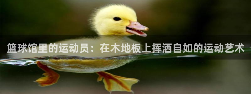 vsport体育官方正版app娱乐代理怎么样
