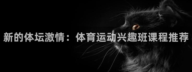 vsport体育官网下载开户：新的体坛激情：体育运动兴趣班课