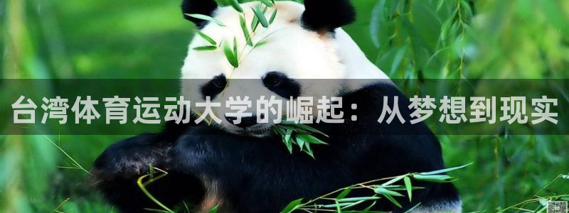 vsport体育官方正版app神州：台湾体育运动大学