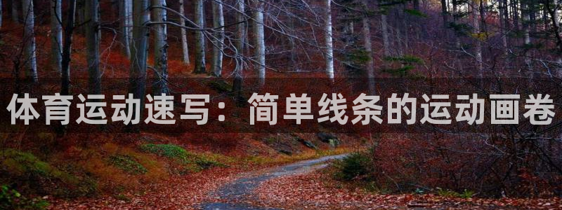 海南vsport体育官网下载：体育运动速写：简单线条的运动画