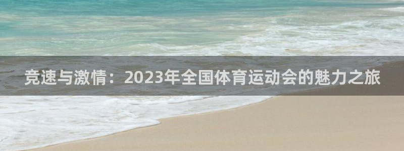 vsport体育官网下载平台：竞速与激情：2023年全国体育