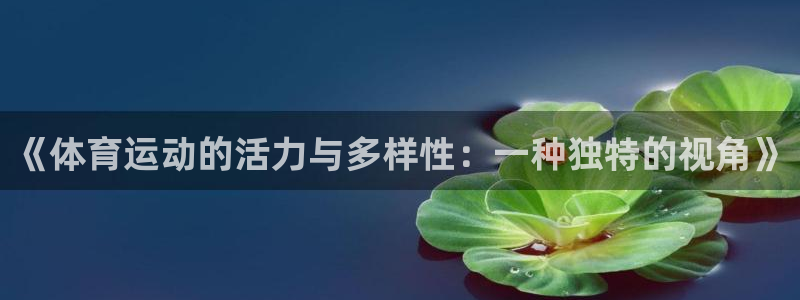 vsport体育官方正版app娱乐下载：《体育运动的活力与多