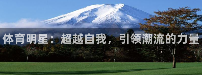 vsport体育官网下载招商电话地址