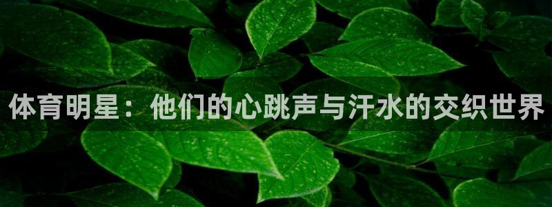 vsport体育官网下载联系电话：体育明星：他们的心跳声与汗