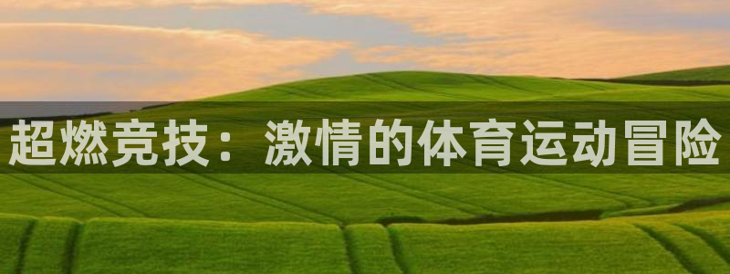 海南vsport体育官网下载：超燃竞技：激情的体育运