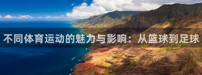 vsport体育官方正版app集团logo：不同体育运动的魅