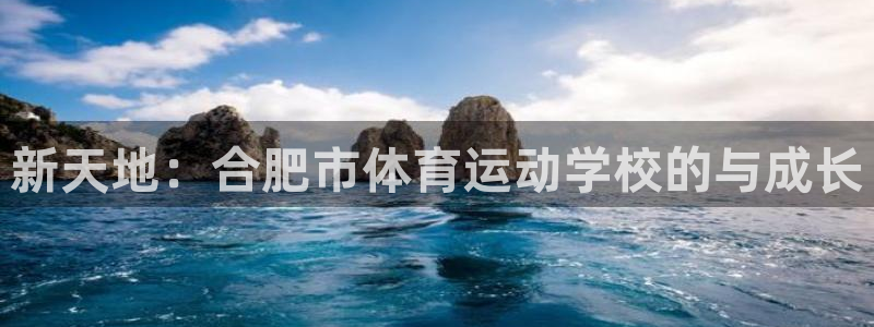 Vsport体育官方网站入口：新天地