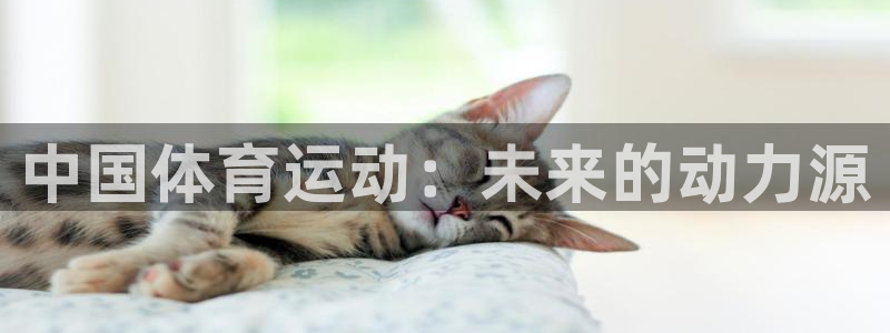 vSport体育app最新版本更新内容