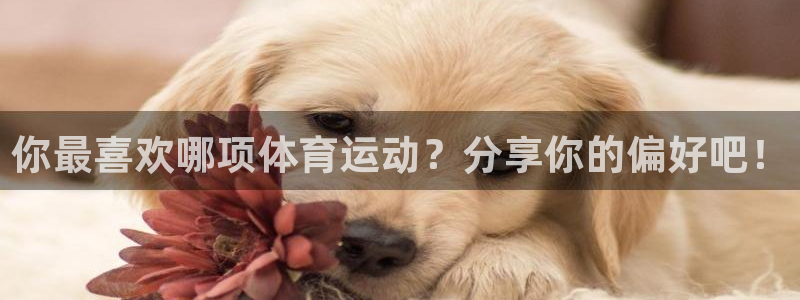 VSport体育平台-胜利因您更精彩