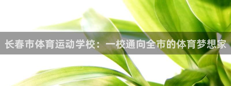 vsport体育平台
