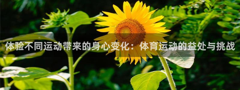 vsport体育在线官网阿根廷：体验不同运动带来的身心变化：