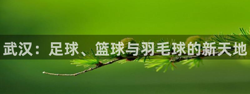 vSport体育在线登录平台：武汉：足球、篮球与羽毛球的新天