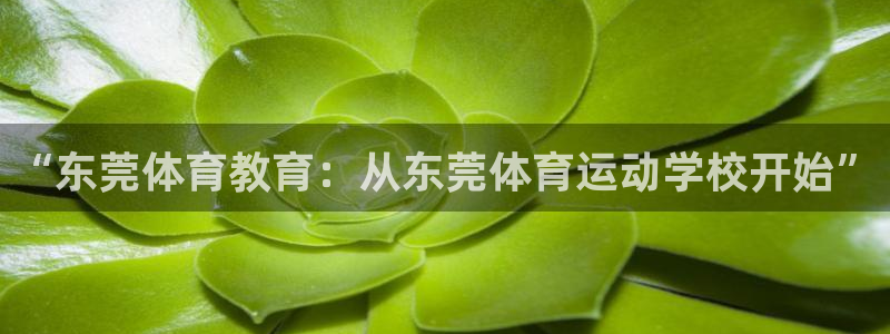vsport体育平台app下载安装免费：“东莞体育教育：从东