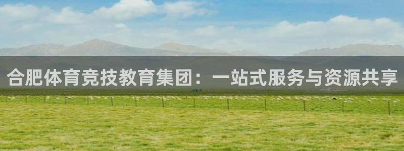 vsport体育平台app：合肥体育竞技教育集团：一站式服务