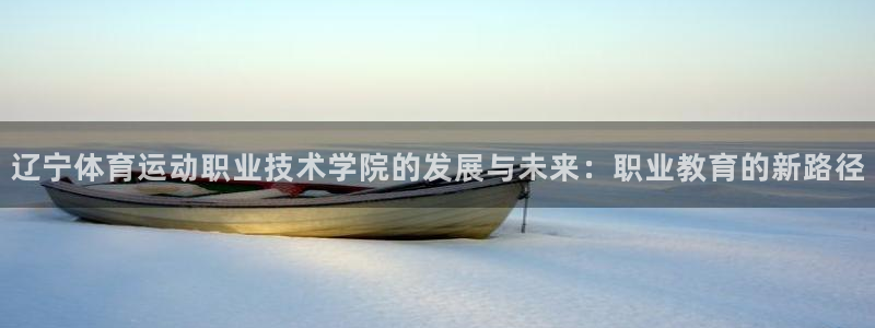  vsport体育：辽宁体育运动职业技术学院的发展与未来：职业