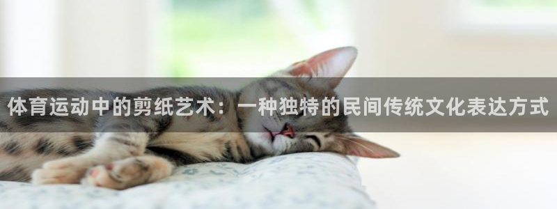 vsport体育在线官网阿根廷：体育运动中的剪纸艺术：一种独