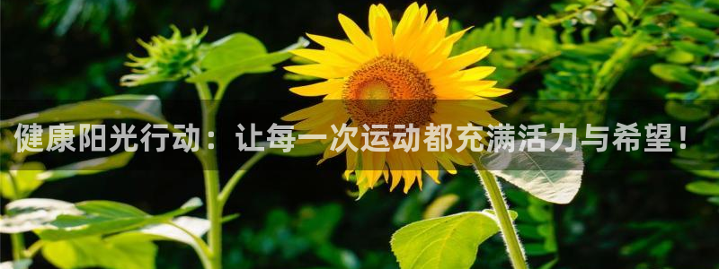 VSport体育平台-胜利因您更精彩：健康阳光行动：让每一次