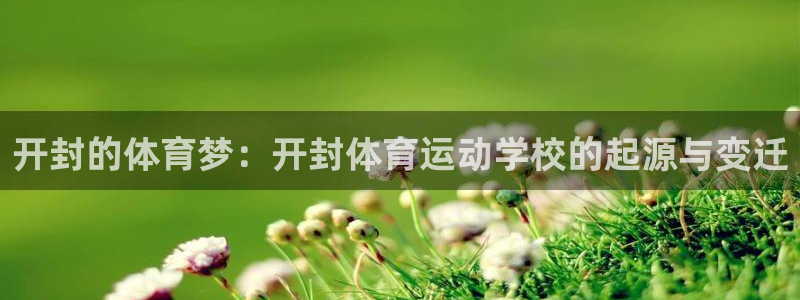 vsport体育平台：开封的体育梦：开封体育运动学校的起源与