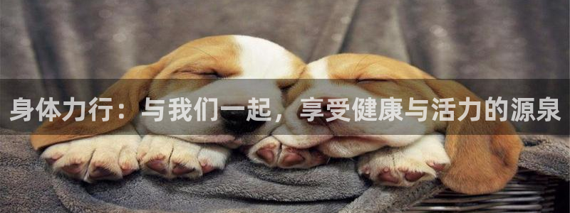 VSport体育平台-胜利因您更精彩：身体力行：与我们一起，