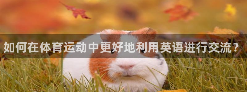  vsport体育阿根廷：如何在体育运动中更好地利用英语进行交