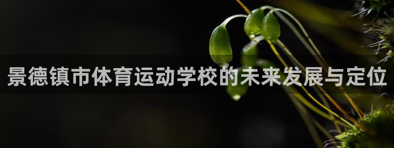 VSport体育官网入口：景德镇市体