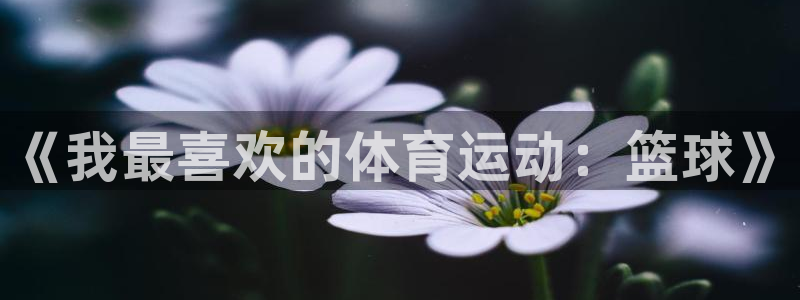 VSport体育平台-胜利因您更精彩